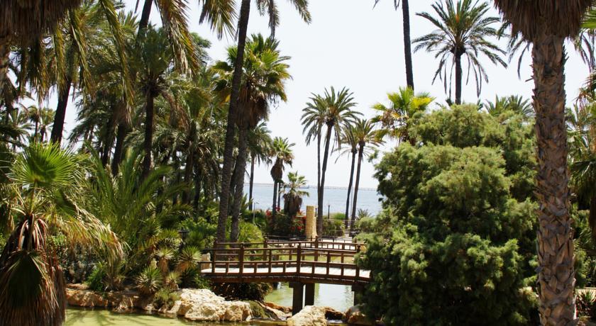 Alicante Apartments 部屋 写真