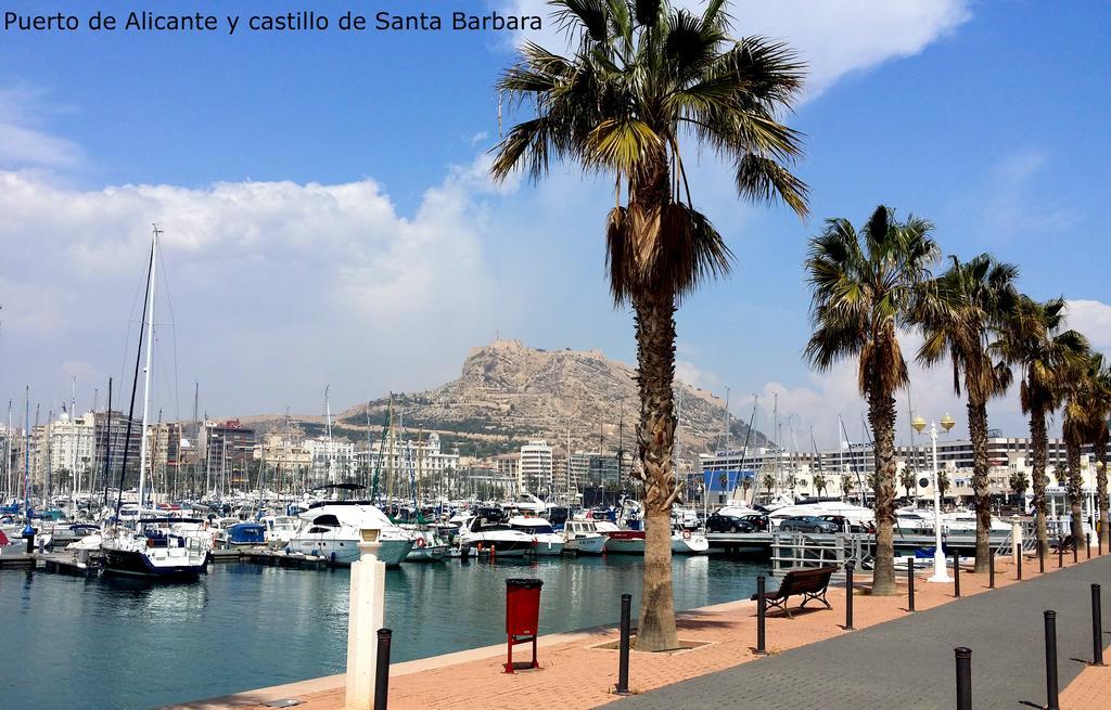 Alicante Apartments エクステリア 写真