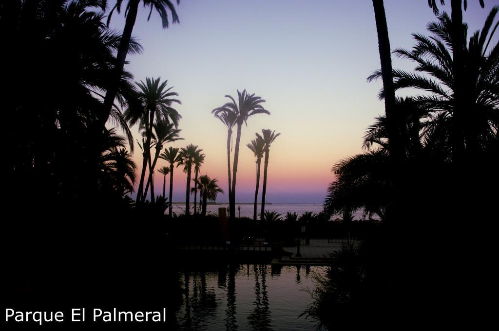 Alicante Apartments エクステリア 写真